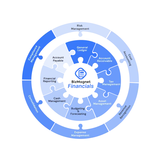 BizMagnet Financials_FM_Diagram